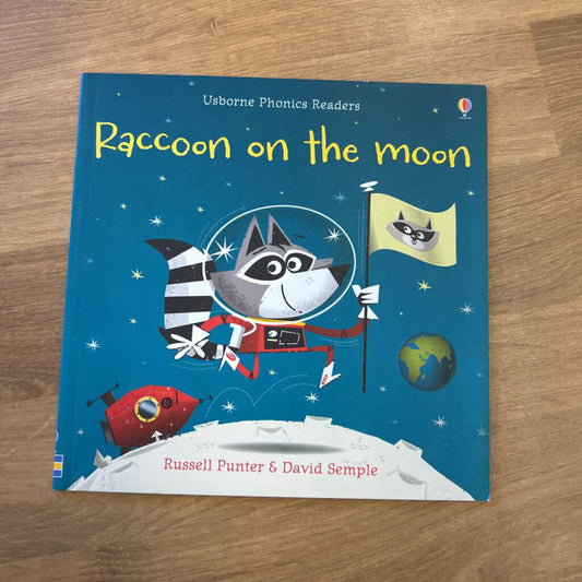 Raccoon on the Moon