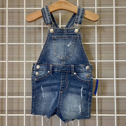 Joe's Distressed Overalls - 24m