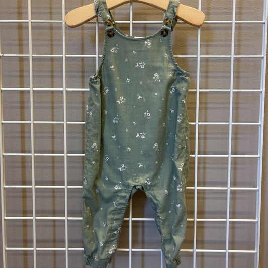 Carter's Daisy Overalls - 9m