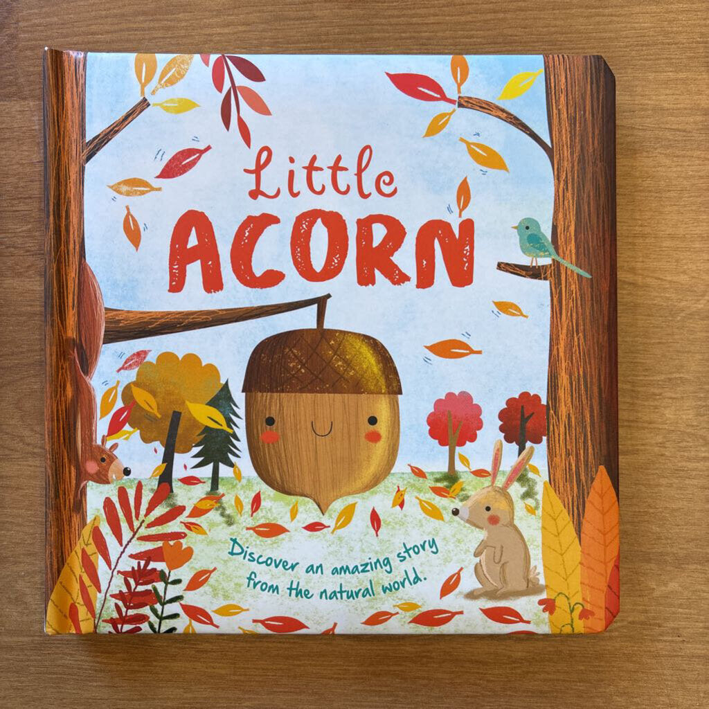 Little Acorn