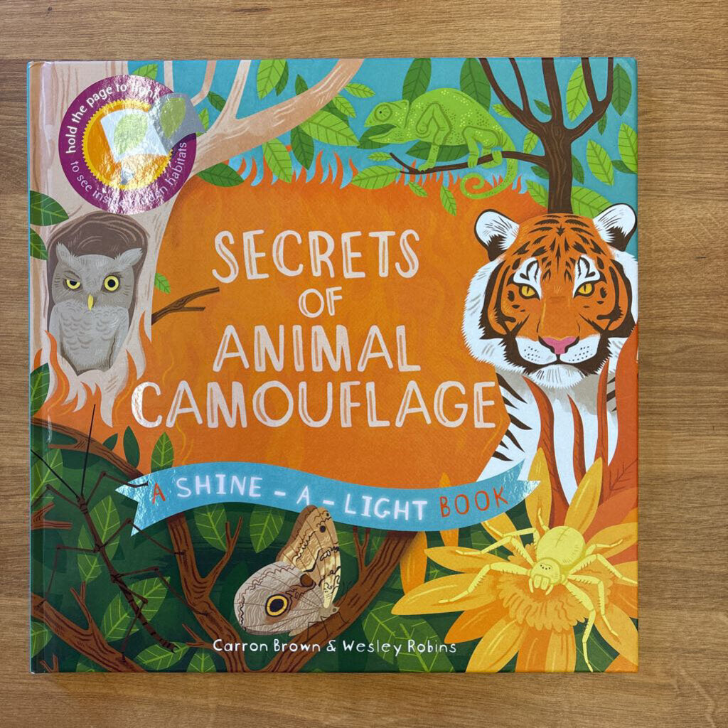 Secrets of Animal Camouflage