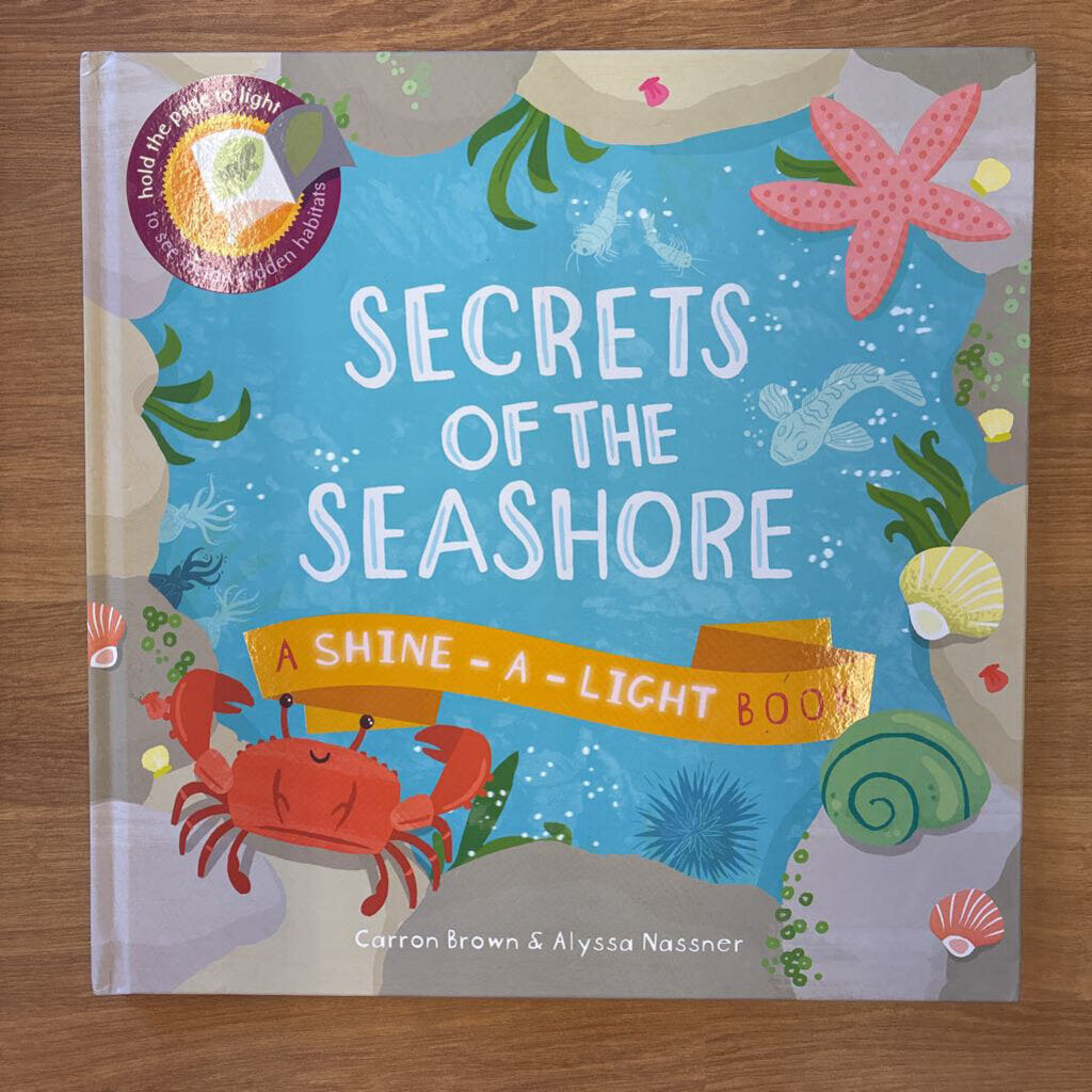 Secrets of the Seashore