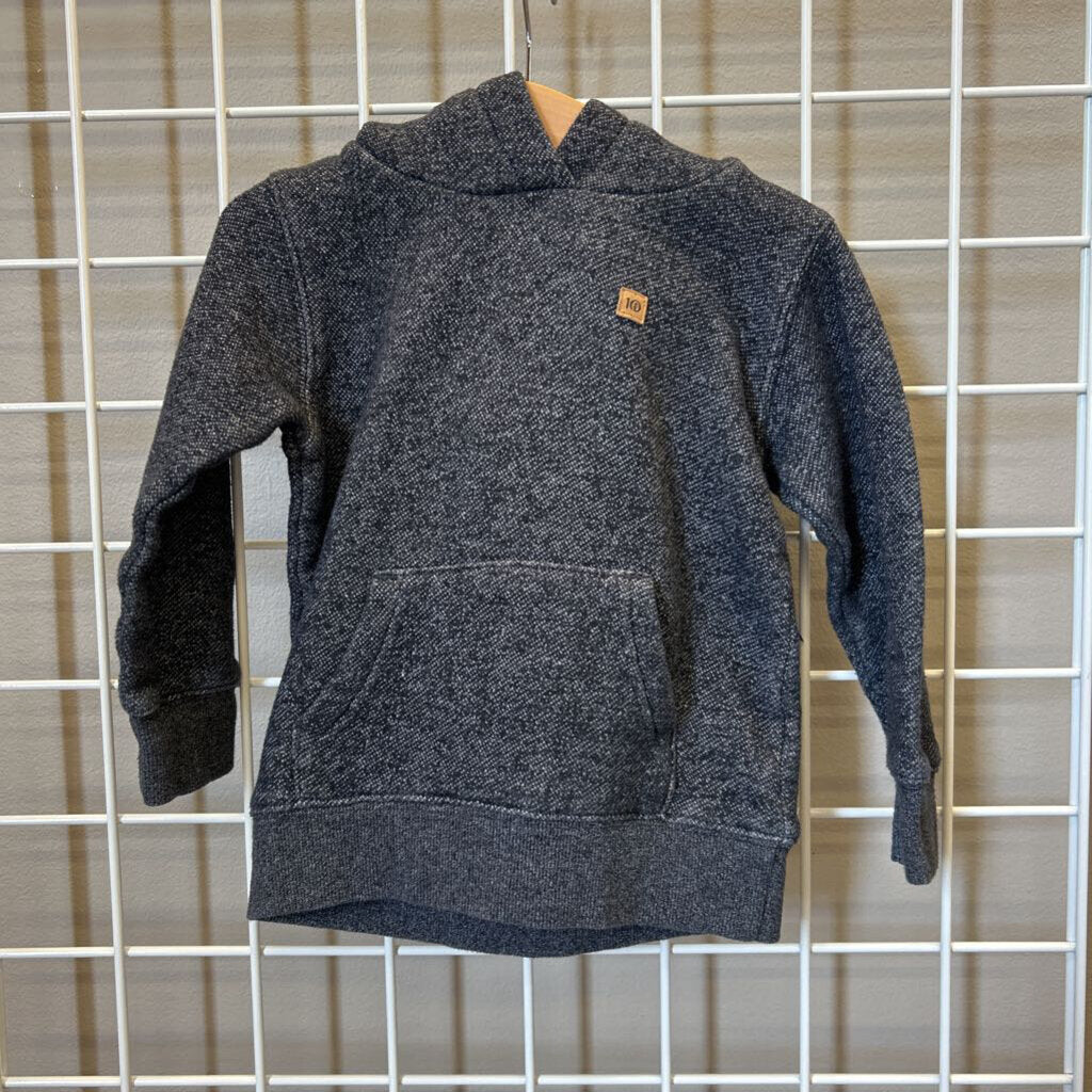 Tentree Hoodie - 3T