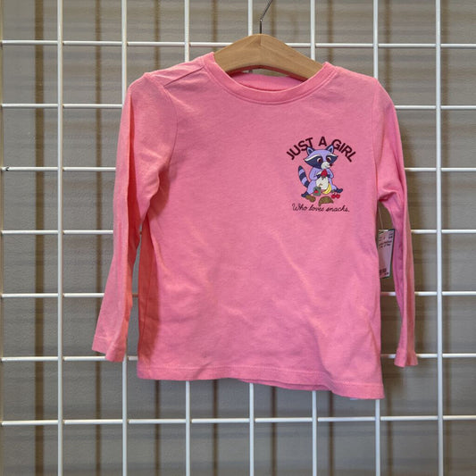 Old Navy Raccoon LS Tee - 3T