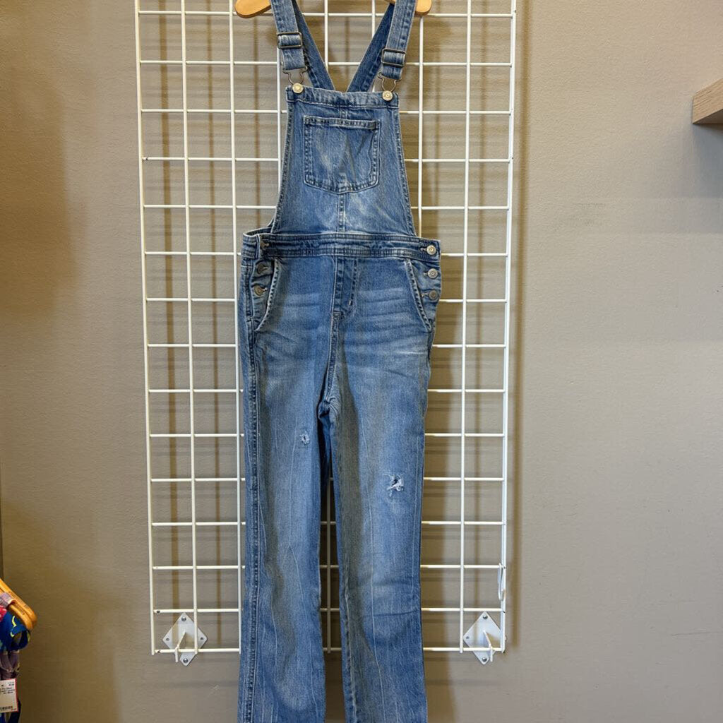 Cat & Jack Distressed Overalls - 10/12