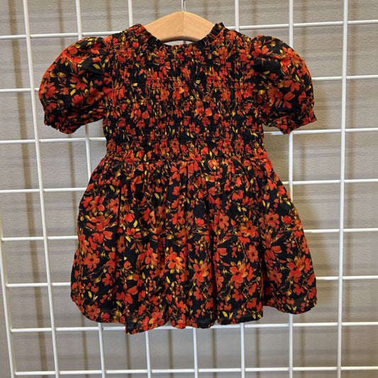 Baby Gap Smocked Floral SS Dress - 12/18m