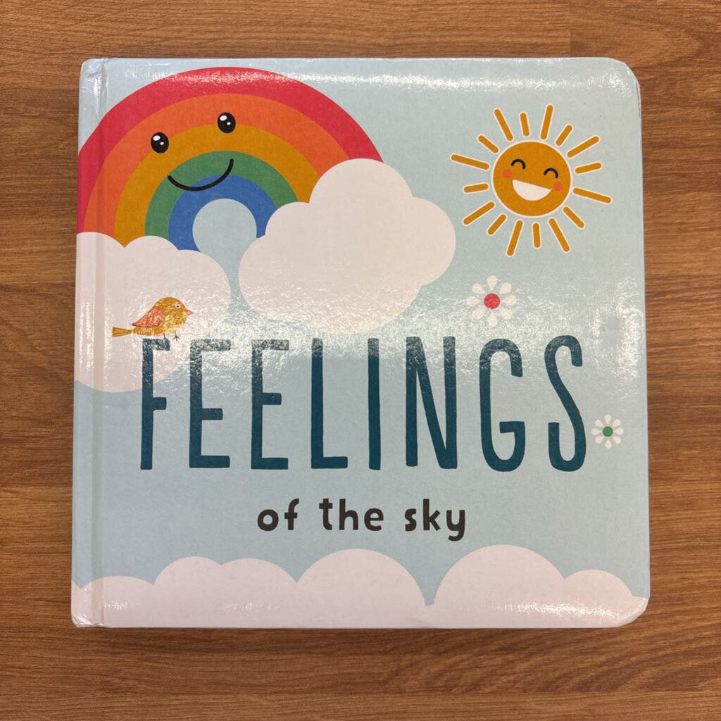 Feelings of the Sky