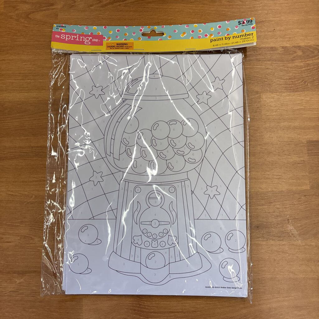 NEW Paint by Number Kit