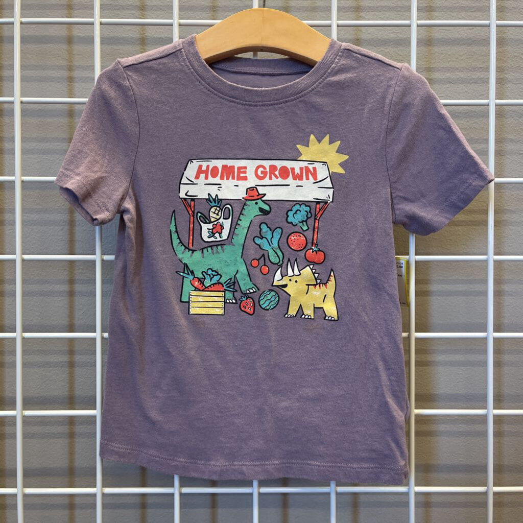 Old Navy Homegrown SS Tee - 4T