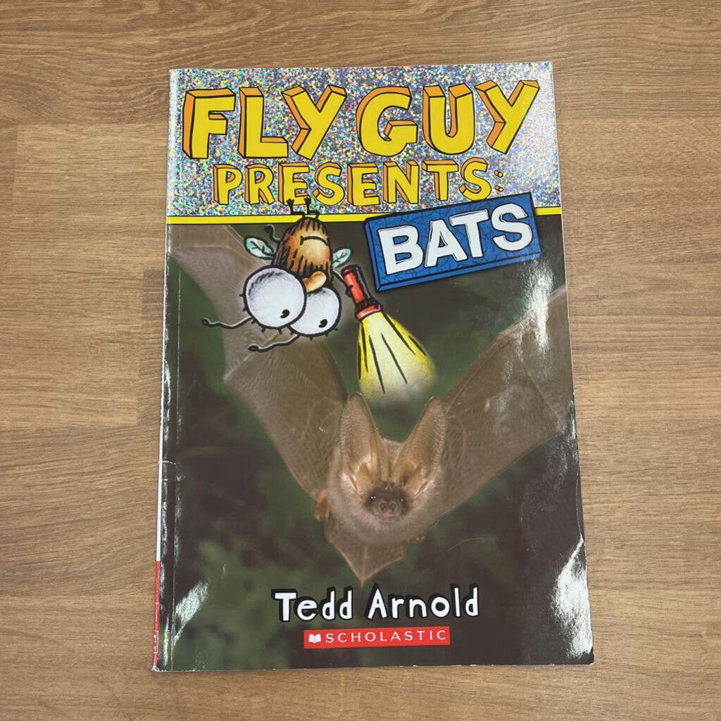 Early Reader - Fly Guy