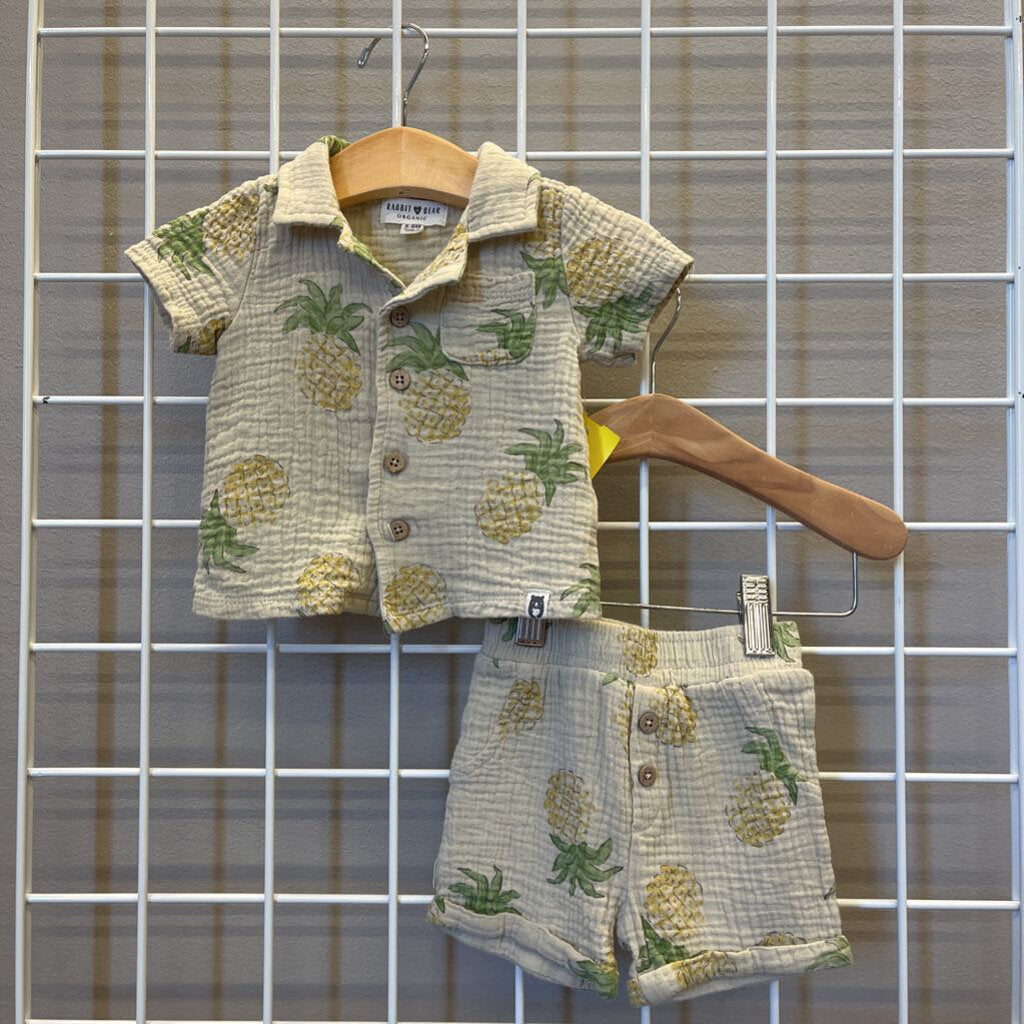 Rabbit + Bear Pineapples Linen Two Pc Set - 6/9m