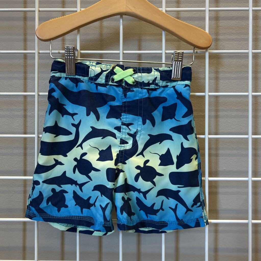 MIck Mack Shark Swim Shorts - 3T