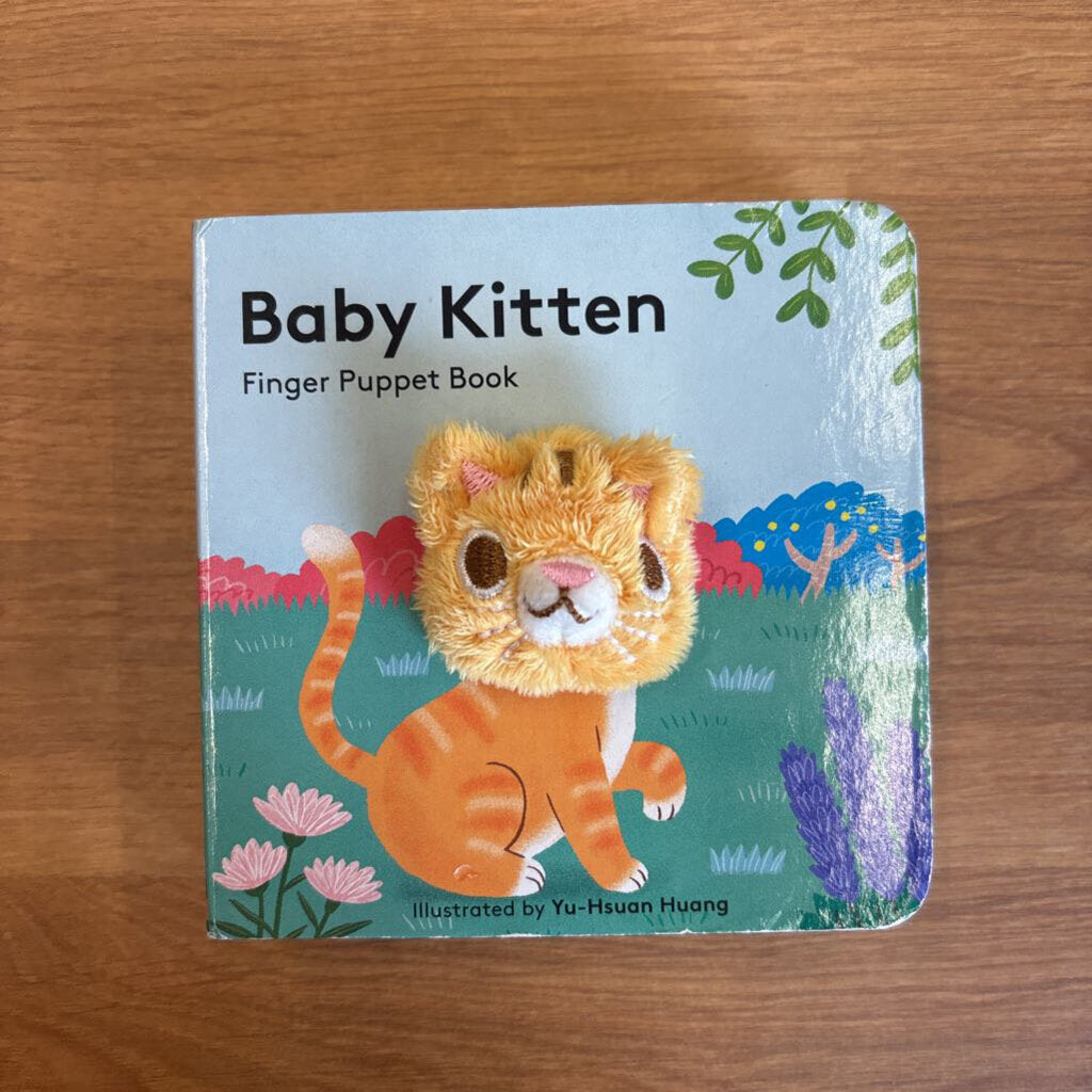 Baby Kitten