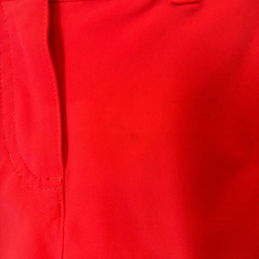 Nike Golf Shorts (small marks) - 8/9