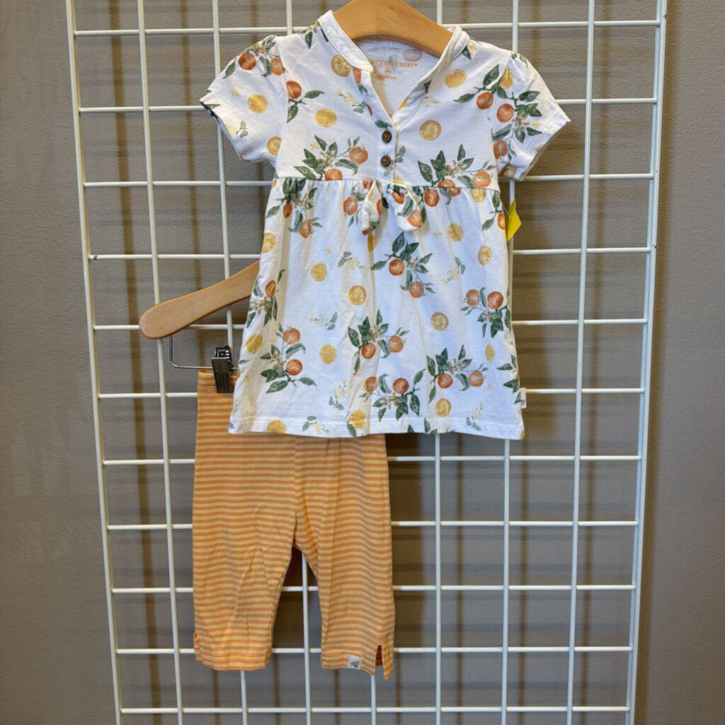 Burt's Bees Citrus Two Pc Set - 18m