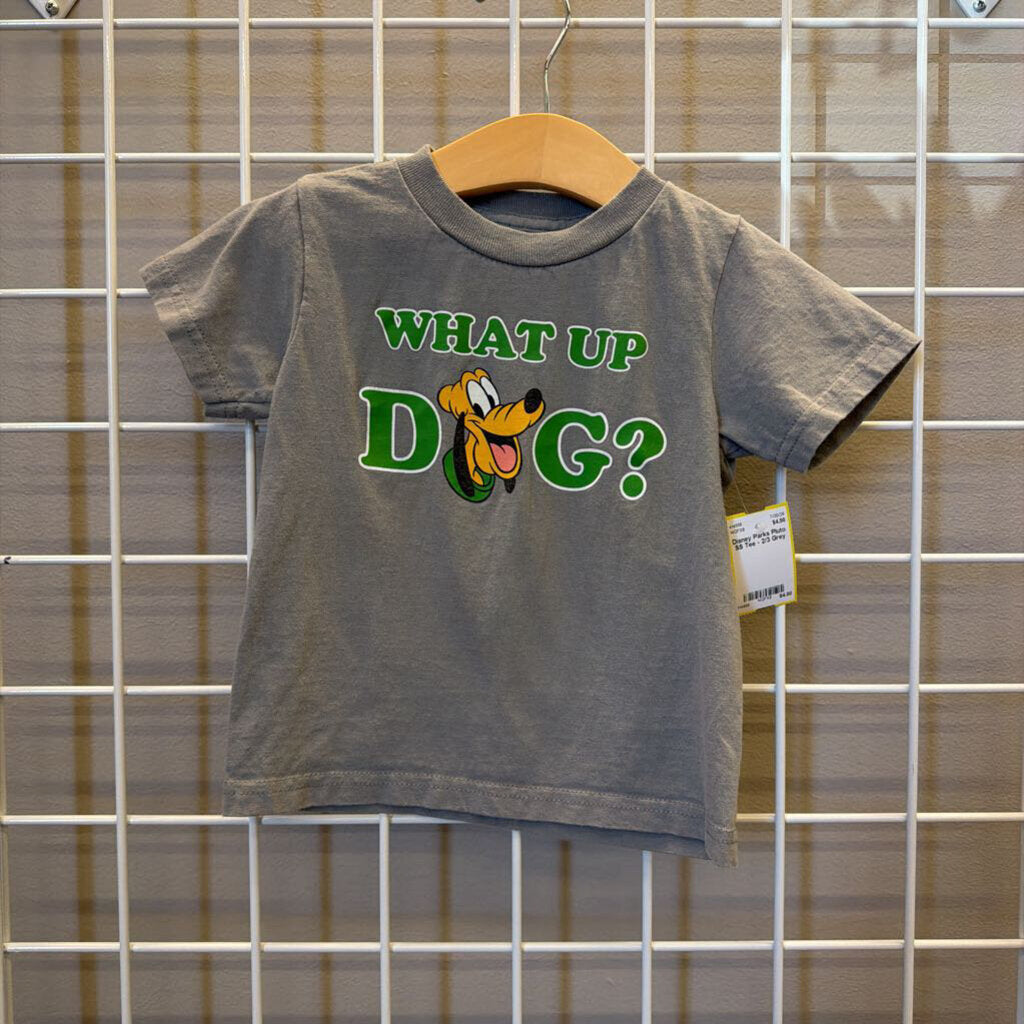 Disney Parks Pluto SS Tee - 2/3