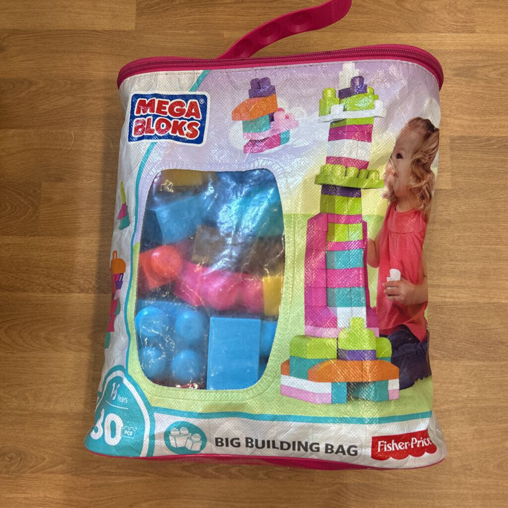 Bag of Mega Blocks