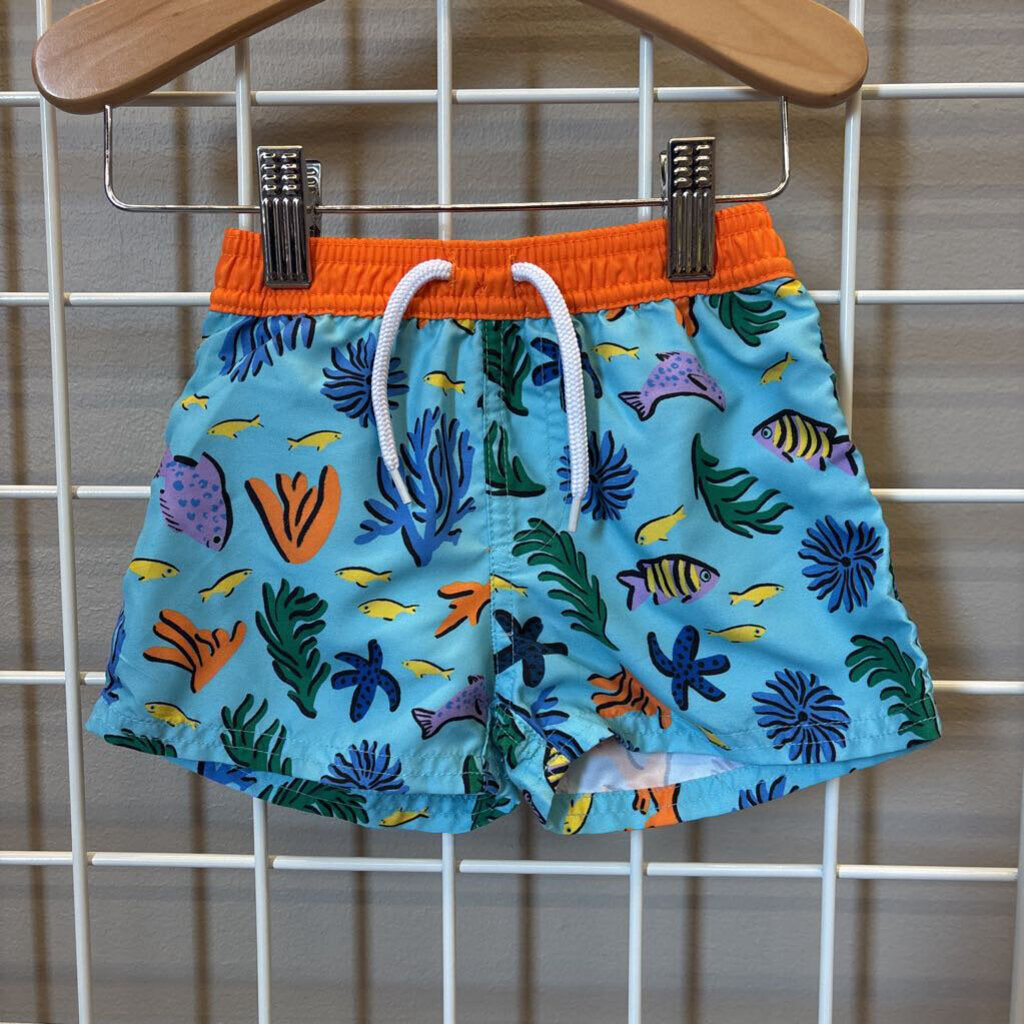 Floatimini Fish Swim Shorts -12m