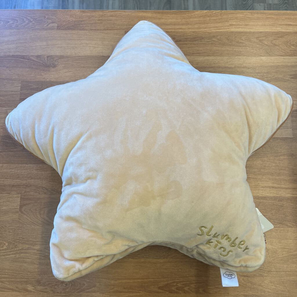 The Confidence Within Pillow Set (no book)