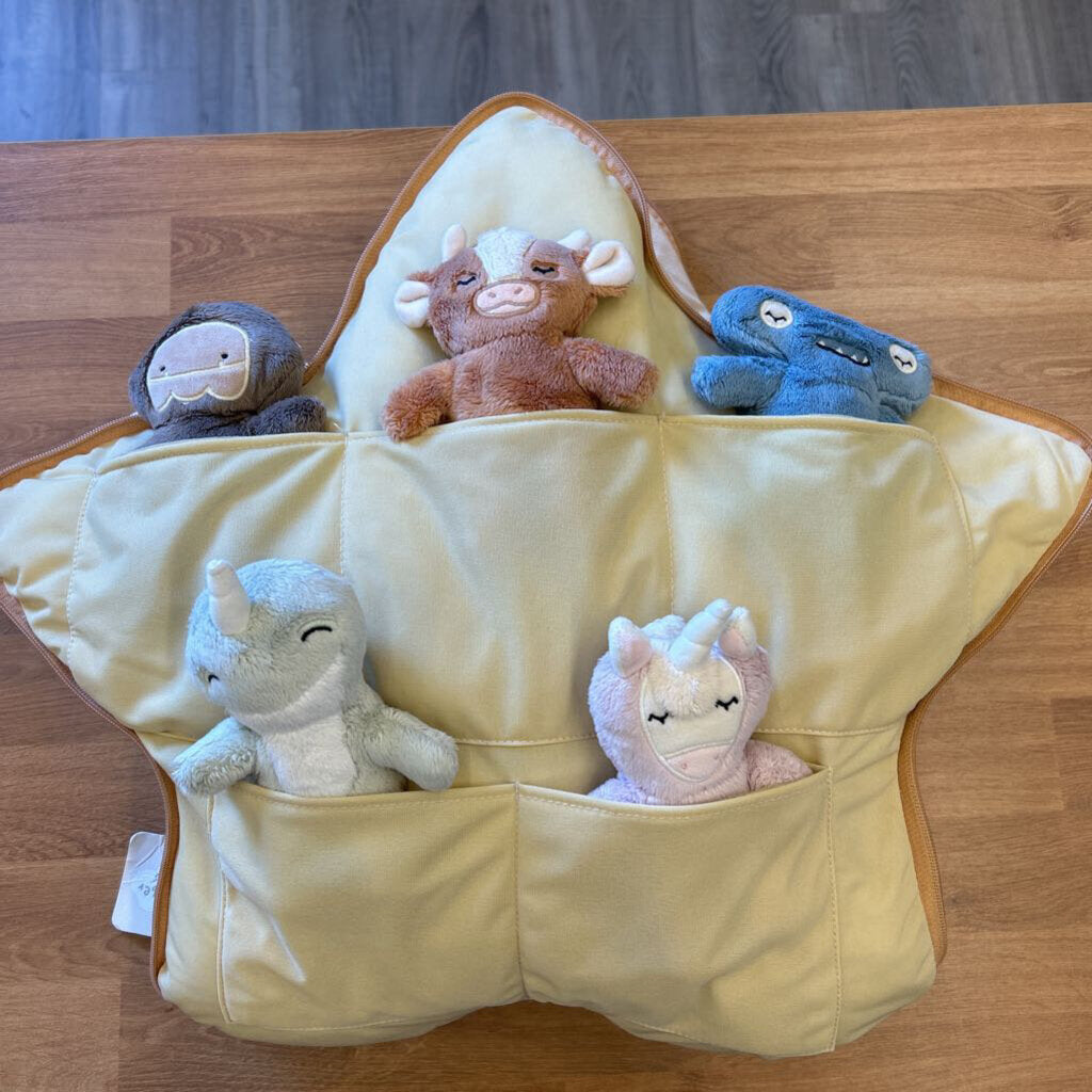 The Confidence Within Pillow Set (no book)