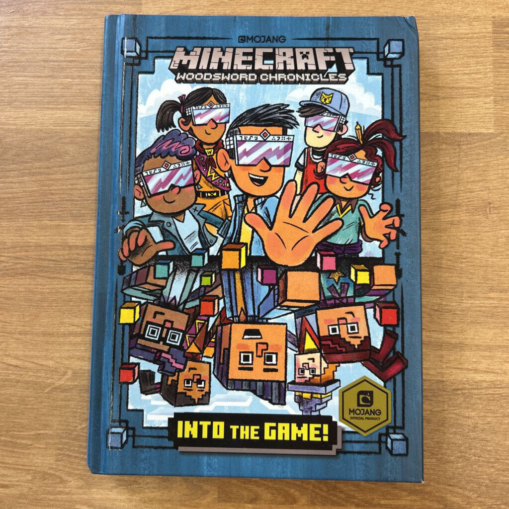 Minecraft Into the Game!