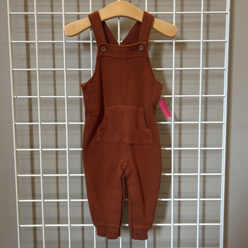 Carter's Thermal Overalls - 12m