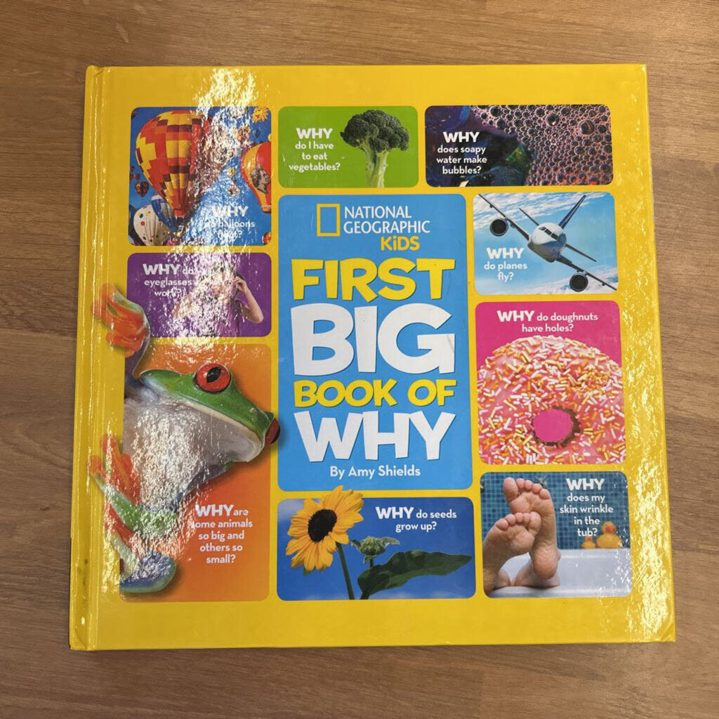 Kids First Big Book of Why