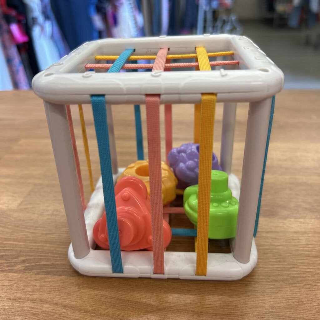 Shape Sorter Toy