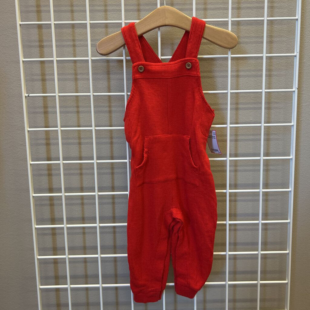 Carter's Thermal Overall - 12m