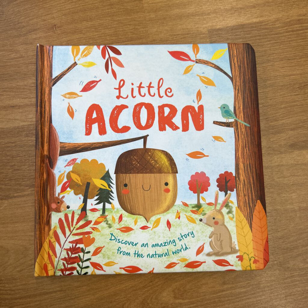 Little Acorn
