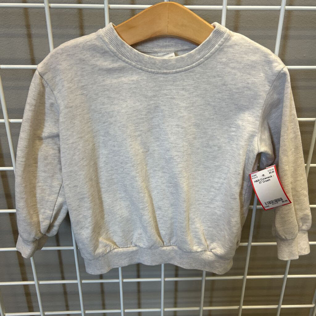 H&M Crewneck - 3T