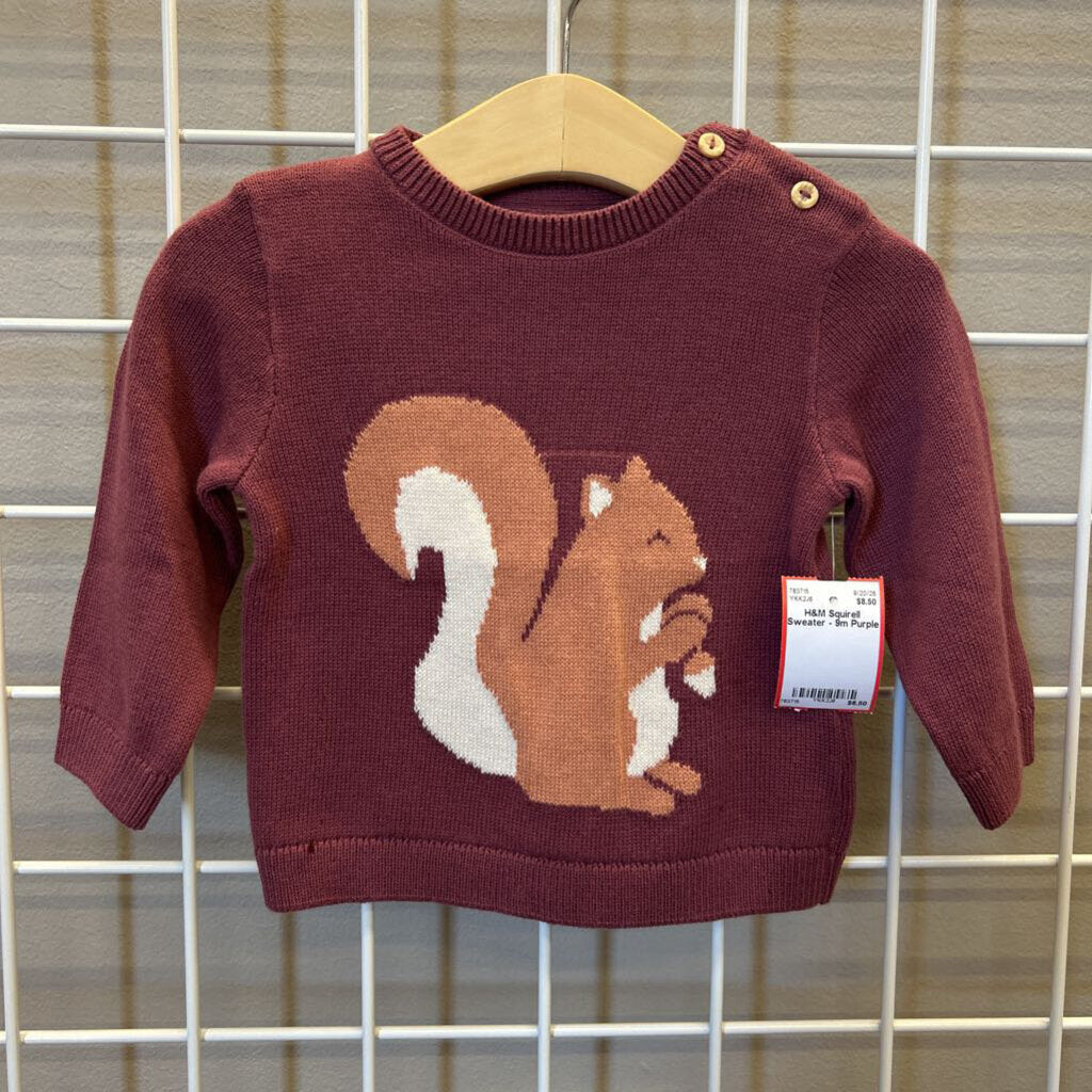 H&M Squirell Sweater - 9m