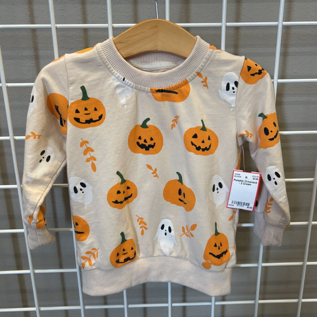 Pumpkin Crewneck - 2