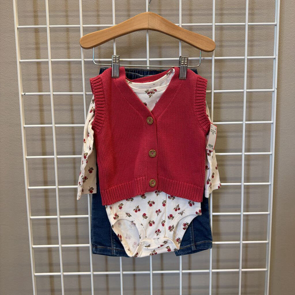Carter's Sweater Vest 3pc Set - 18m