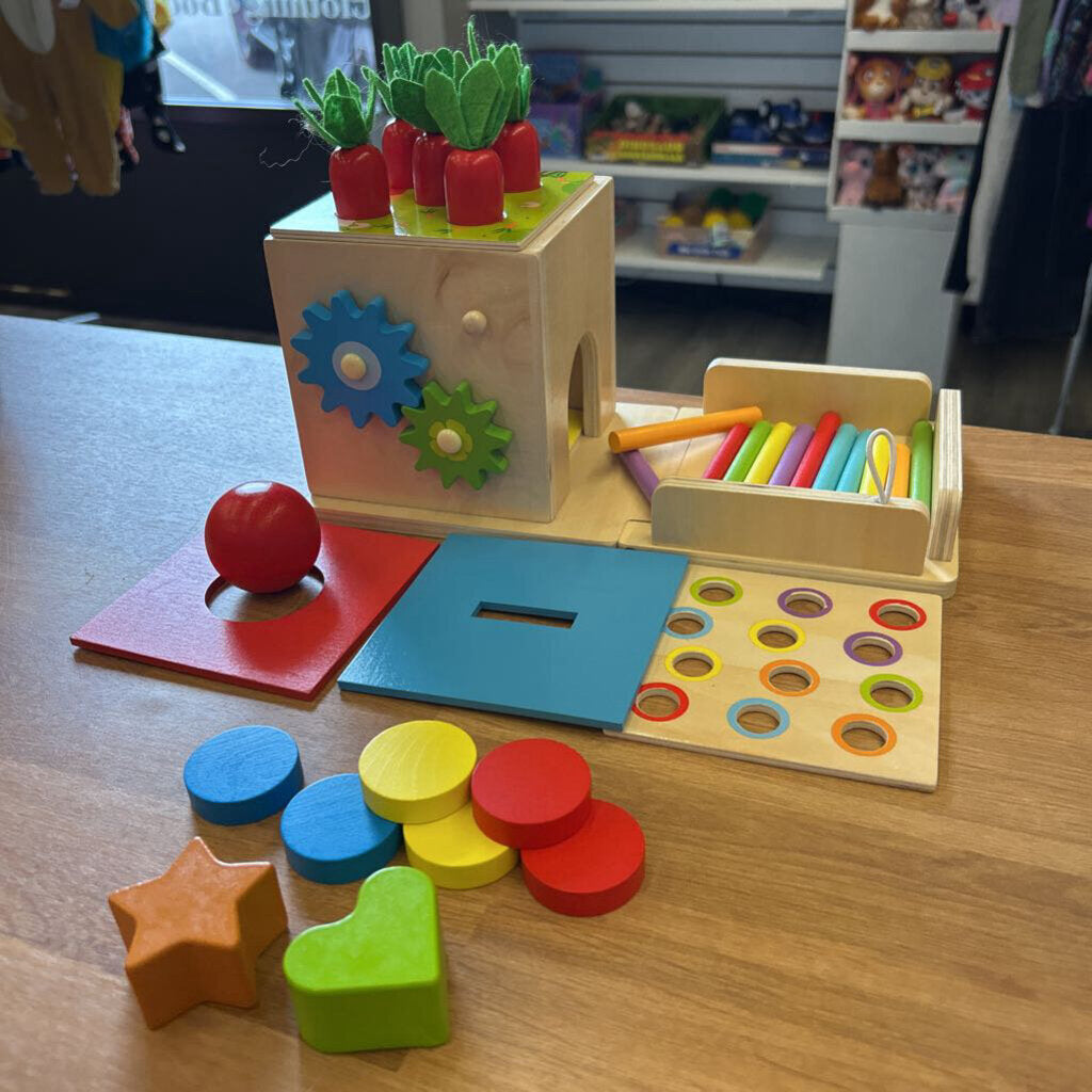 Wood Slot Toy