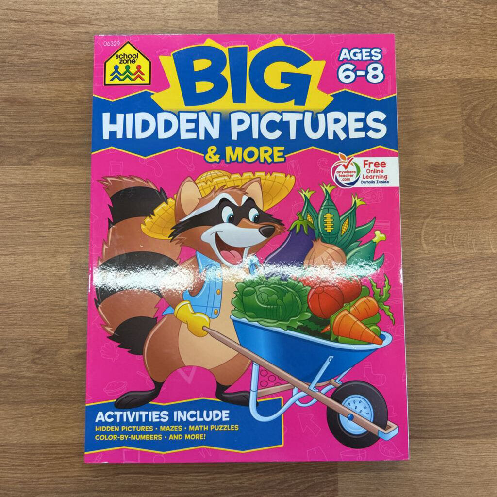 Big Hidden Pictures & More