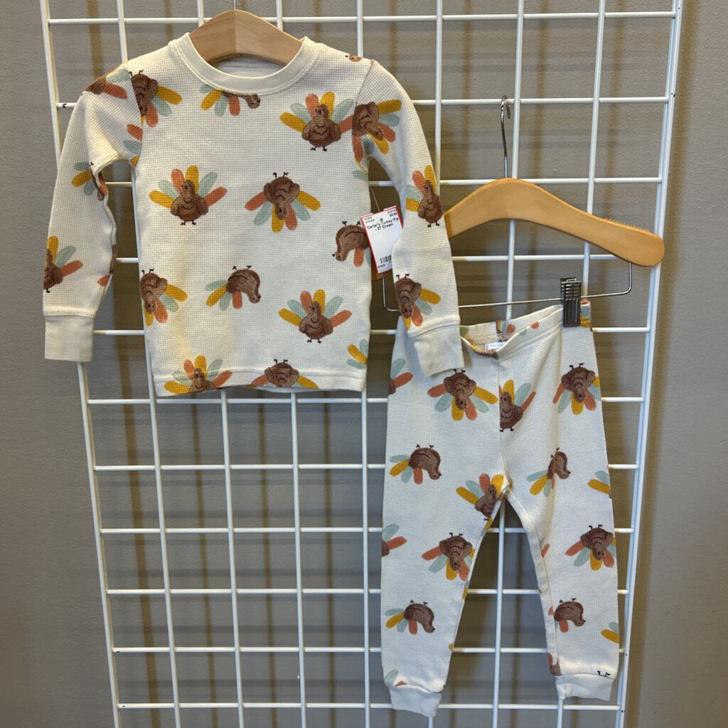Carter's Turkey Pjs - 2T