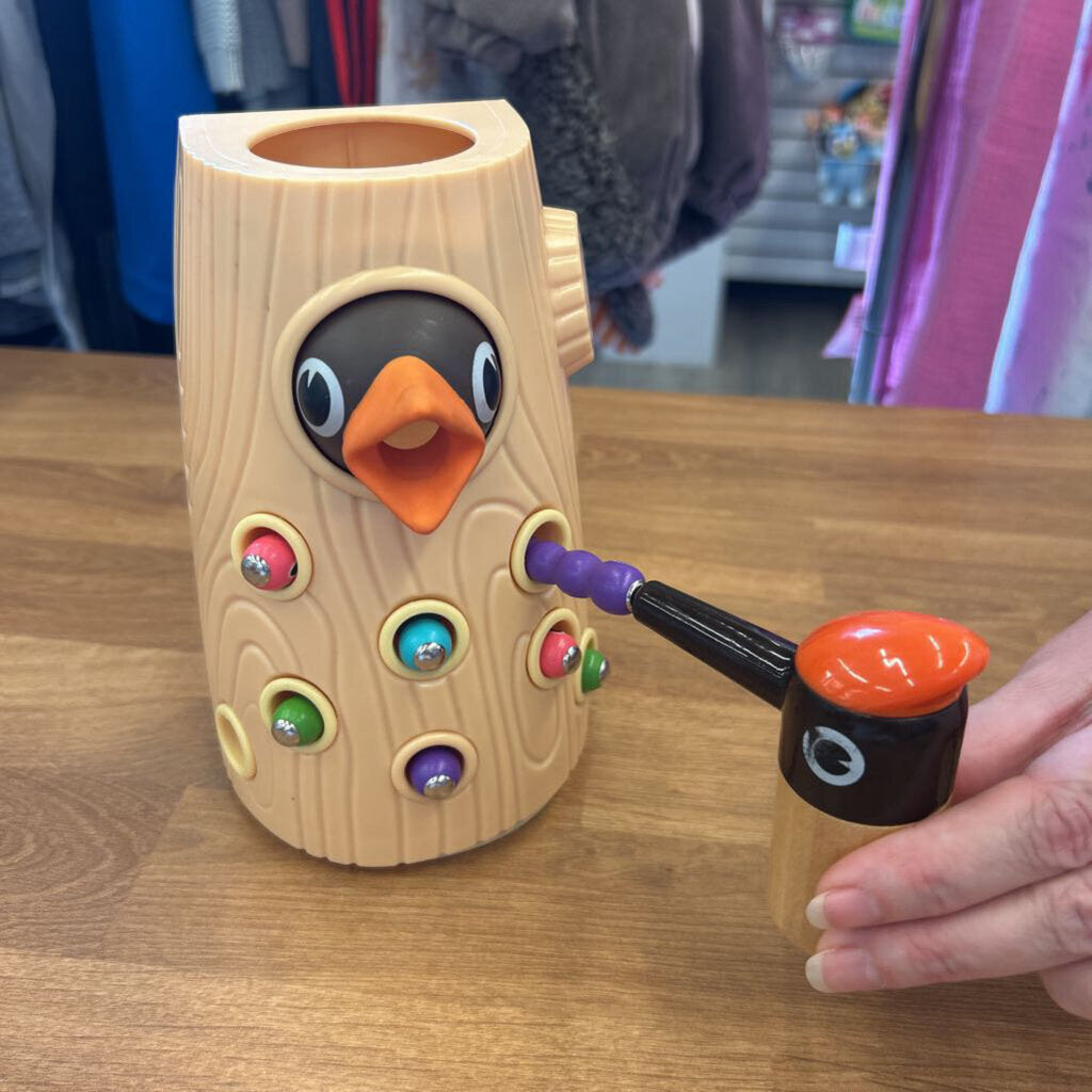Bird Magnet Worm Toy