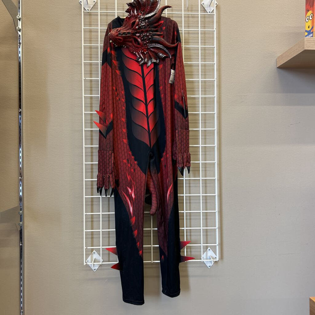 Dragon Costume ~ 8/10 (wings missing)