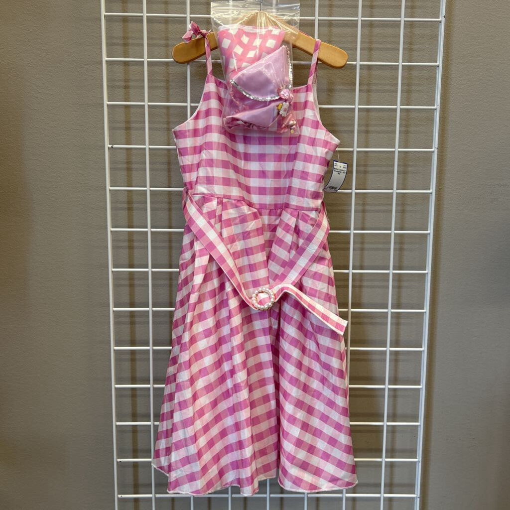 Barbie Costume w/ Accessories ~ 8/10