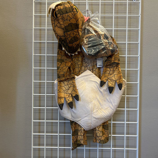 Baby Dino Costume - 12/18m