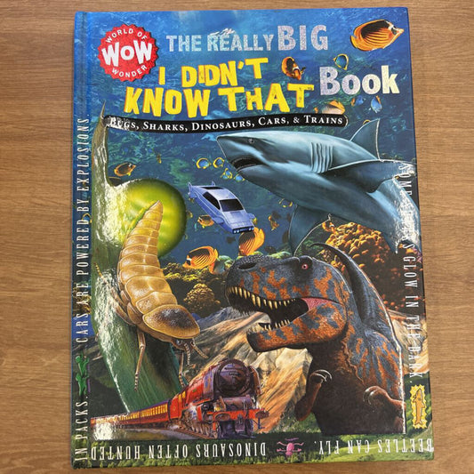 The Reall Big I Didn't Know That Book