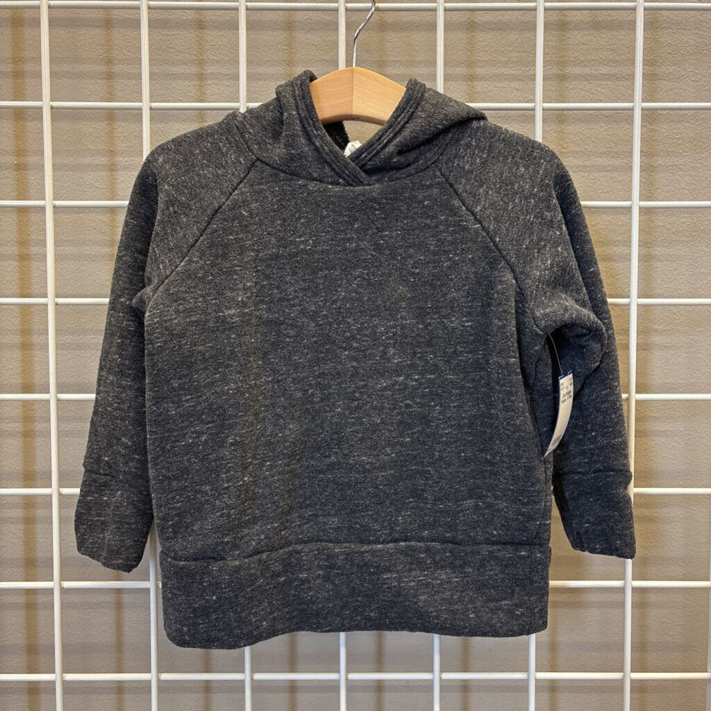 Little Wedgies Hoodie - 3T