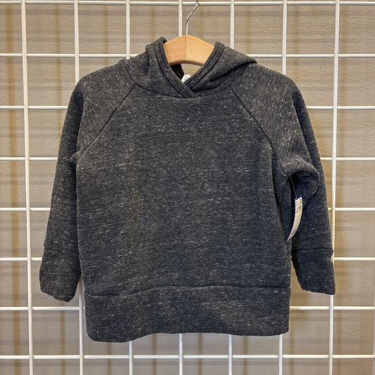 Little Wedgies Hoodie - 3T
